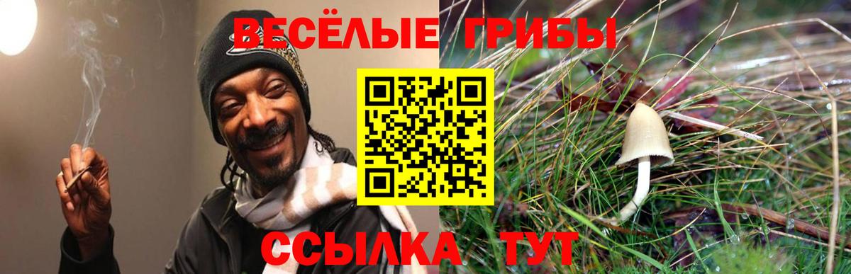 Назарово  что такое наркотик  Галлюциногенные грибы Psilocybine cubensis  Вход с VPN  Галлюциногенные грибы прущие грибы 