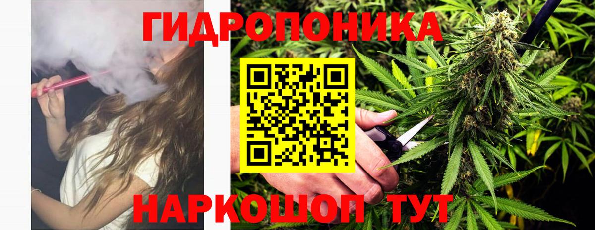Бошки Шишки сатива  Вход с VPN  Бошки марихуана Amnesia  Каннабис Bruce Banner  Назарово 